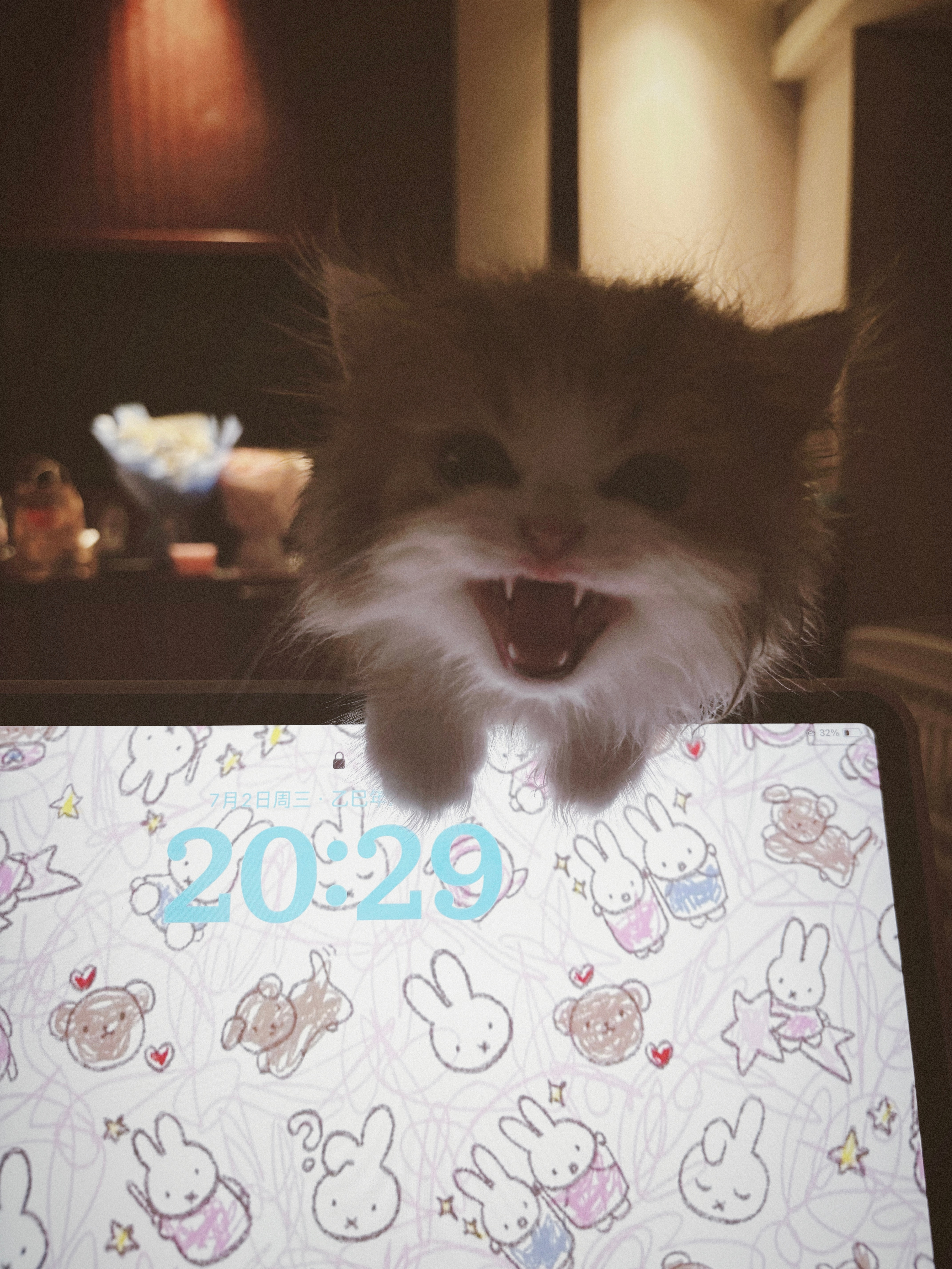 🧑‍🧑‍🧒🐱​​​