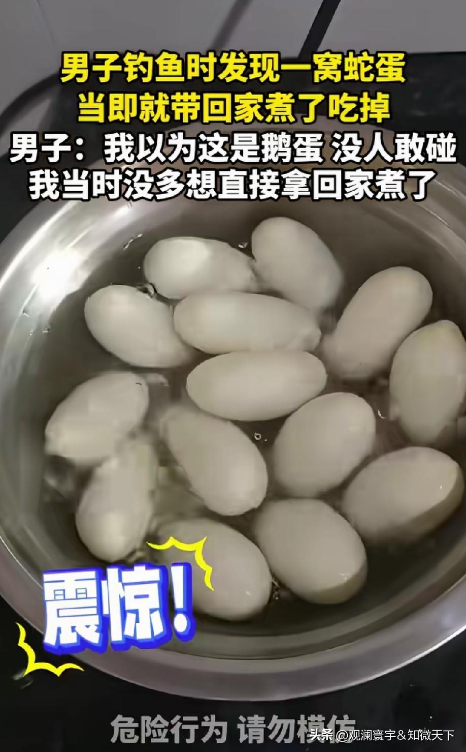 母蛇带全家老小来找你了没？