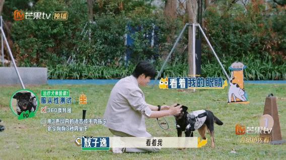 刚出新手村就遇到了顶级犟狗当犟种遇上犟种plus！颜安被沙圆圆气到跳脚，敖子逸和