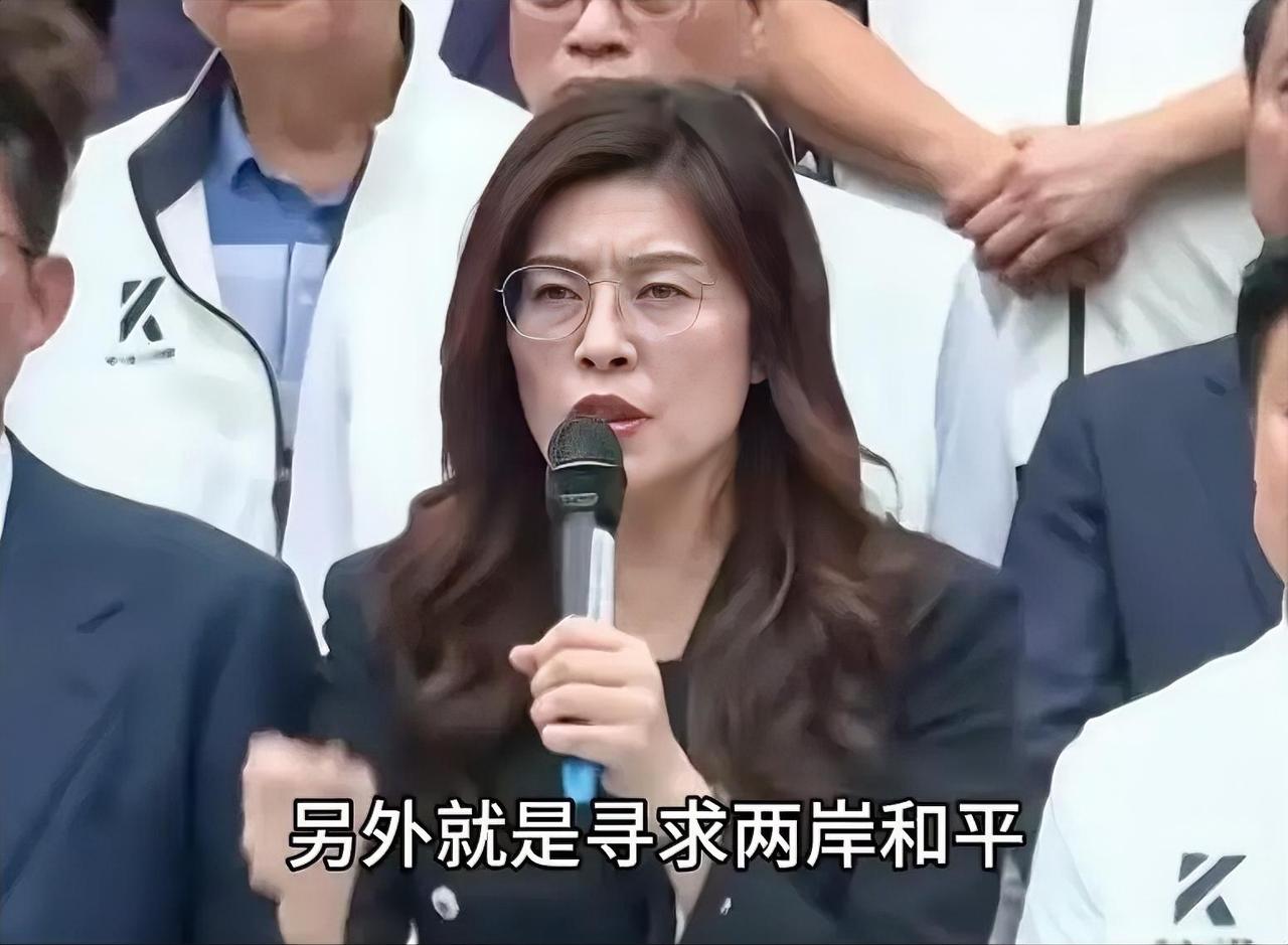 国民党内部有高人？5月8日，蓝白敲定军购条例7800亿，一场持续近半年、针对民进