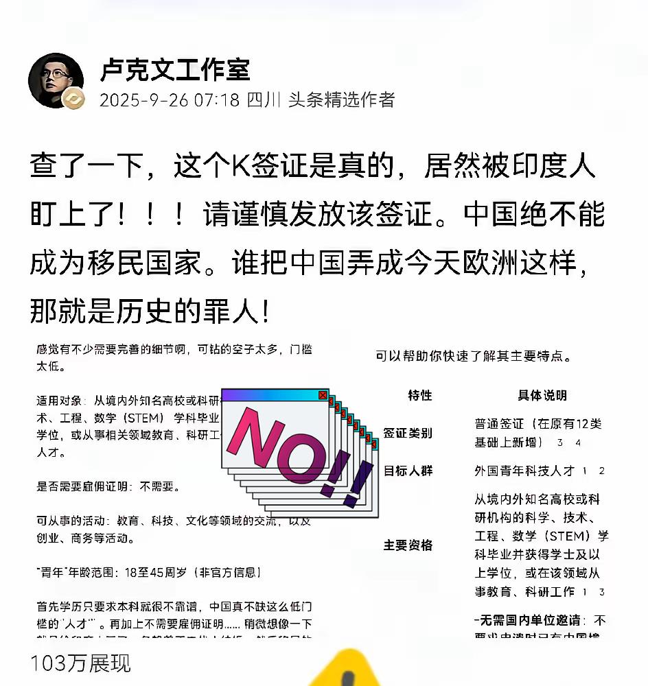 这K签证到底谁想出来的？居然没有中文能力的要求近几日翻阅资料时发现，咱国家