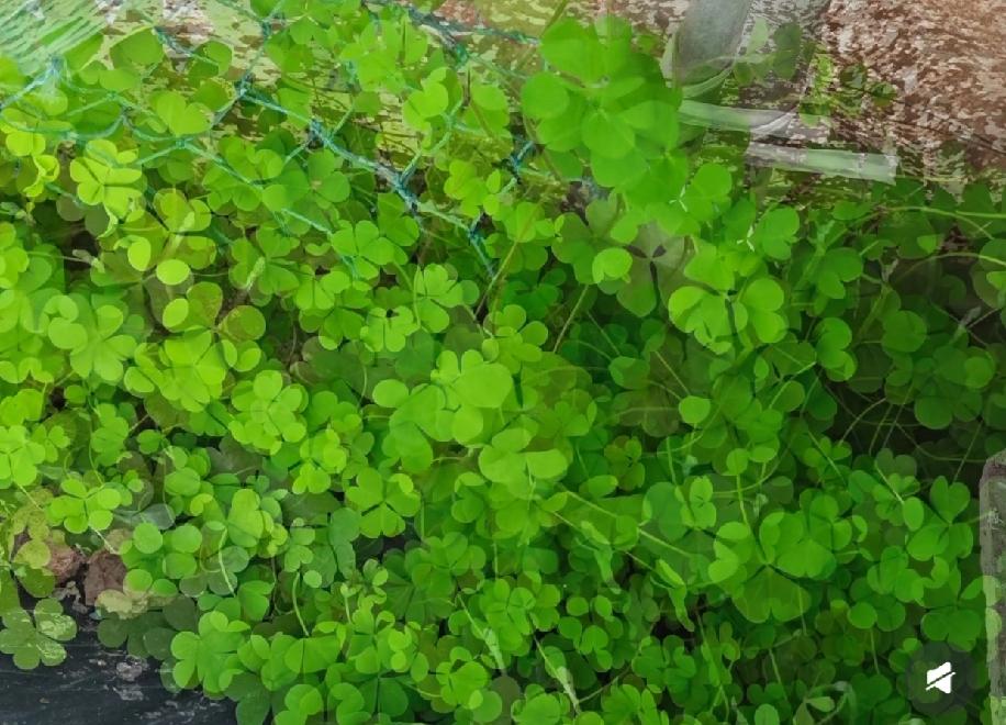 现在算是明白为啥小城市的姑娘结婚都比较早了。家在市区有房子的还好，能出门逛逛街喝