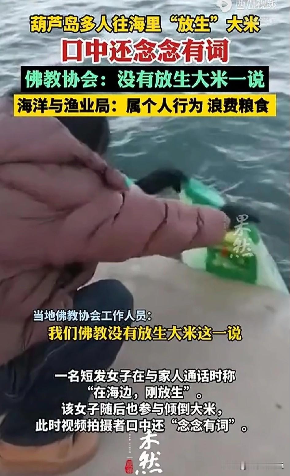 葫芦岛放生（zaonie）大姨们慌了，失去理论支撑了。前段时间，葫芦岛一群