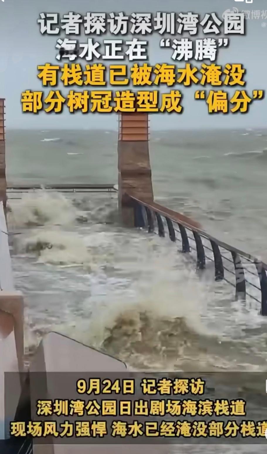 深圳湾公园栈道海水翻涌超强台风“桦加沙”掠过深圳近海。记者线长探访发现因风力强悍