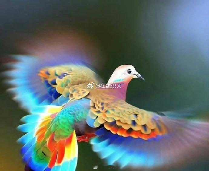 转，接彩运，超级转运，万事大顺​​​