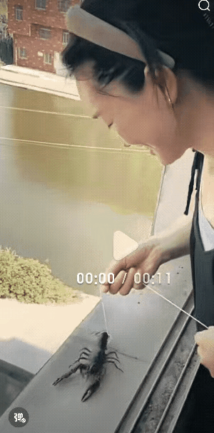 不得不佩服这个美女，她在阳台上晒的小内裤，不小心掉下去了怎么办呢？看看这个美