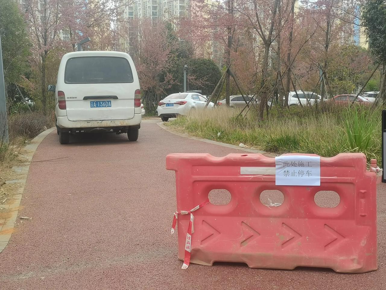 在昆明这种现象普遍存在，乱停车的人太多了，明明写到不准停，但是还是要违停。在这