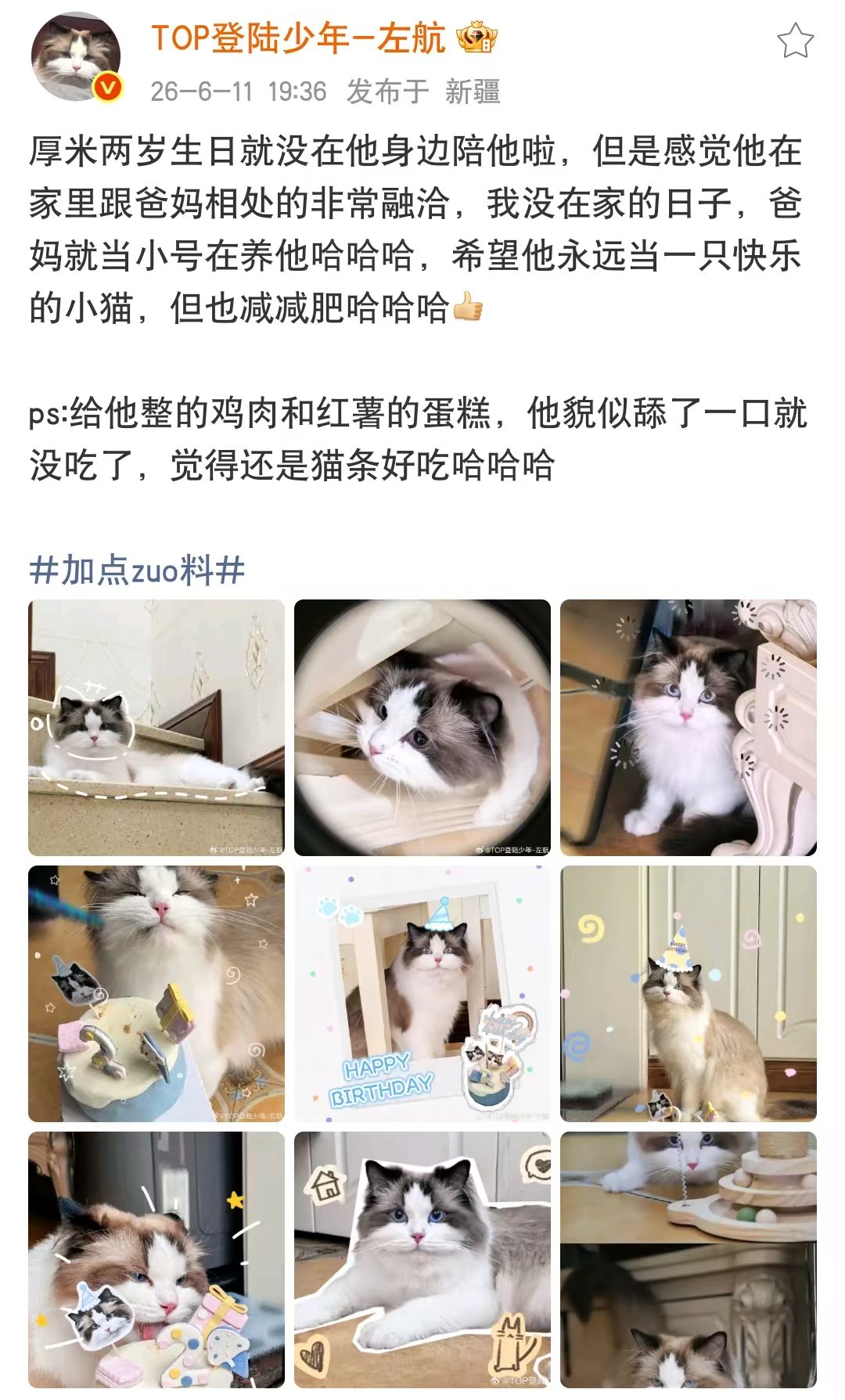 左航小猫厚米生日照左航给厚米过生日航航晒出了小猫厚米的生日照，祝厚米大王生日快