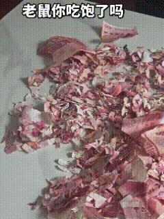 “肠子都悔青了！”云南昭通，男子回家翻出藏钱的塑料桶，刚一打开，当场腿软手抖，眼