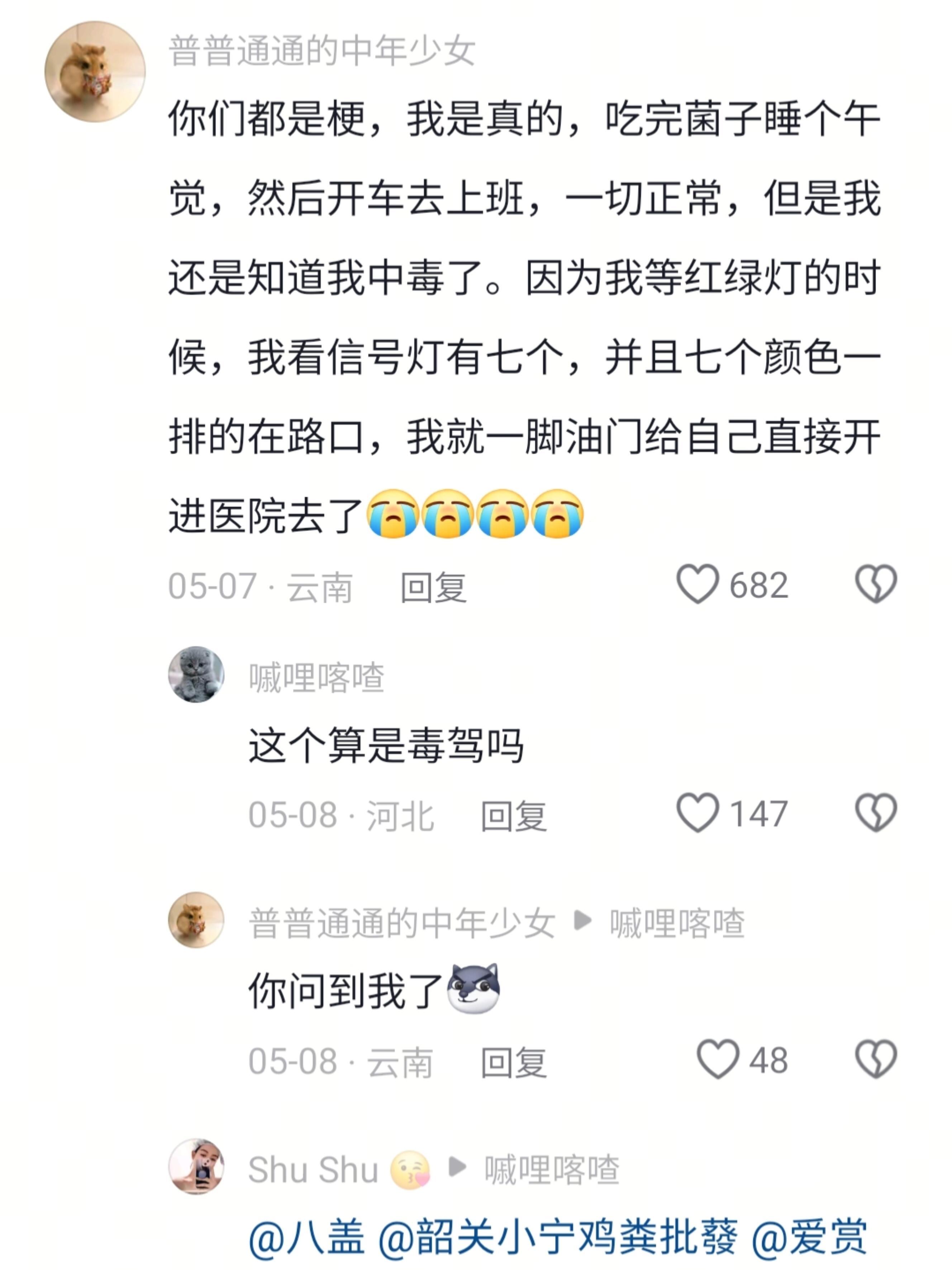 你们都是梗，我是真的