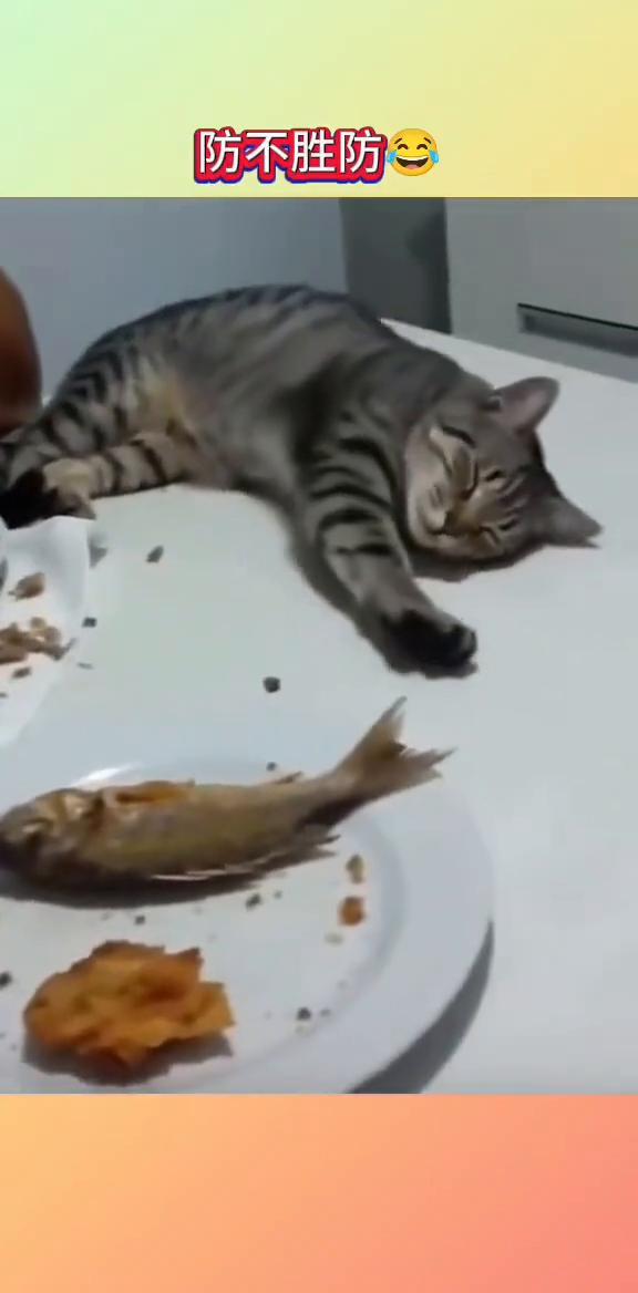 哎呦我的妈，哈哈哈哈。