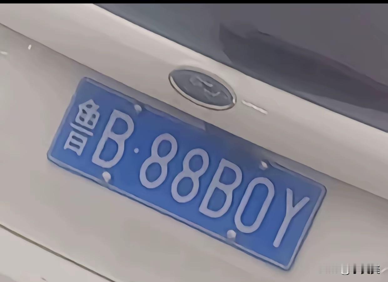 这车牌值多少钱？