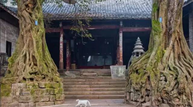 绵阳适合周末游的8个古镇 <wbr>踏青必备!