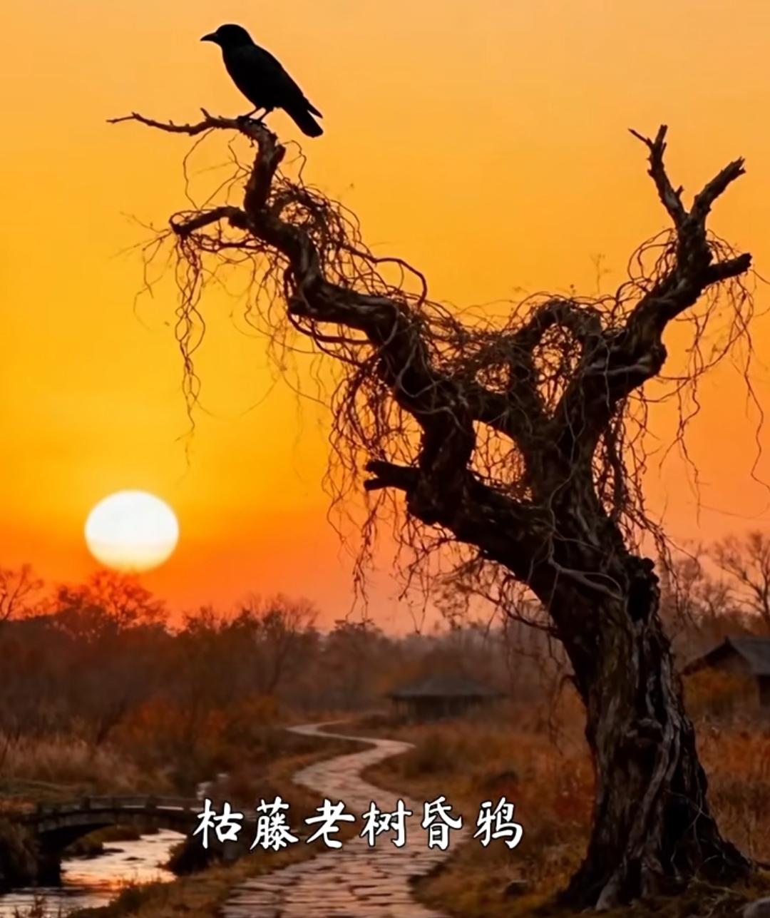 天净沙.秋思元.马致远枯藤老树昏鸦，小桥流水人家，古道西风瘦马。夕
