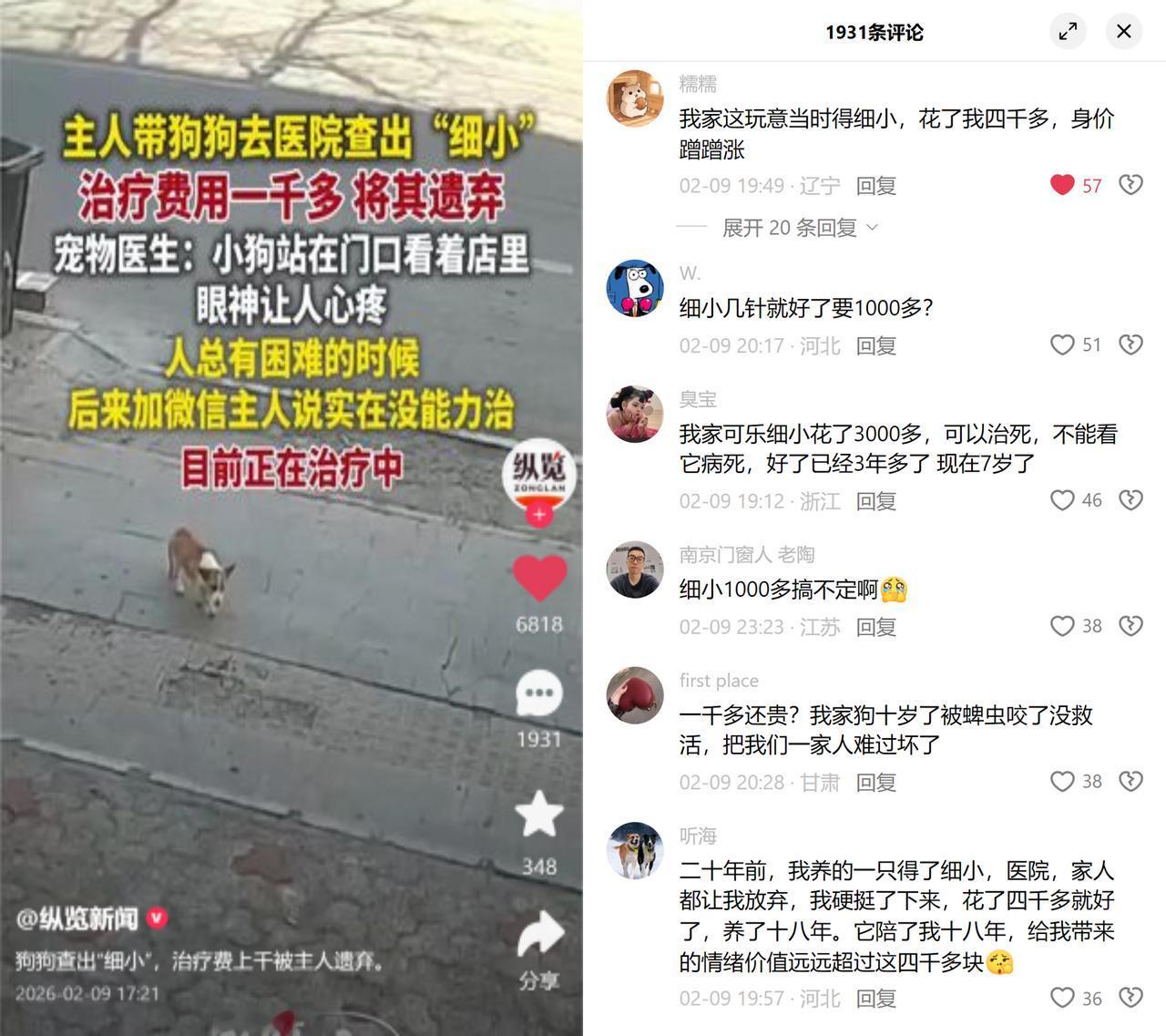 千元治疗费弃养小狗狗狗查出细小，主人因千余元治疗费把它丢在医院门口，说实