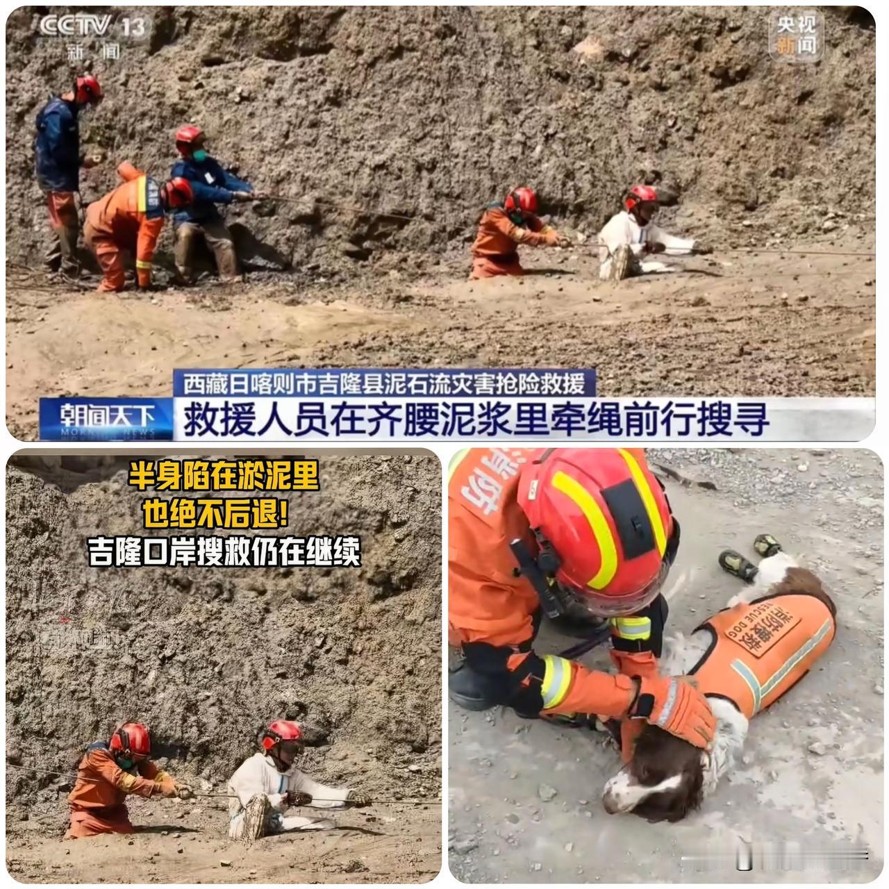 看得眼眶发酸！吉隆口岸救援现场，搜救犬脚掌磨伤仍坚持出勤…西藏吉隆口岸