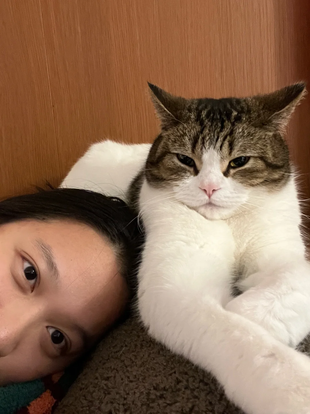 咪，你一定也和人一样，此刻感受到幸福吧！