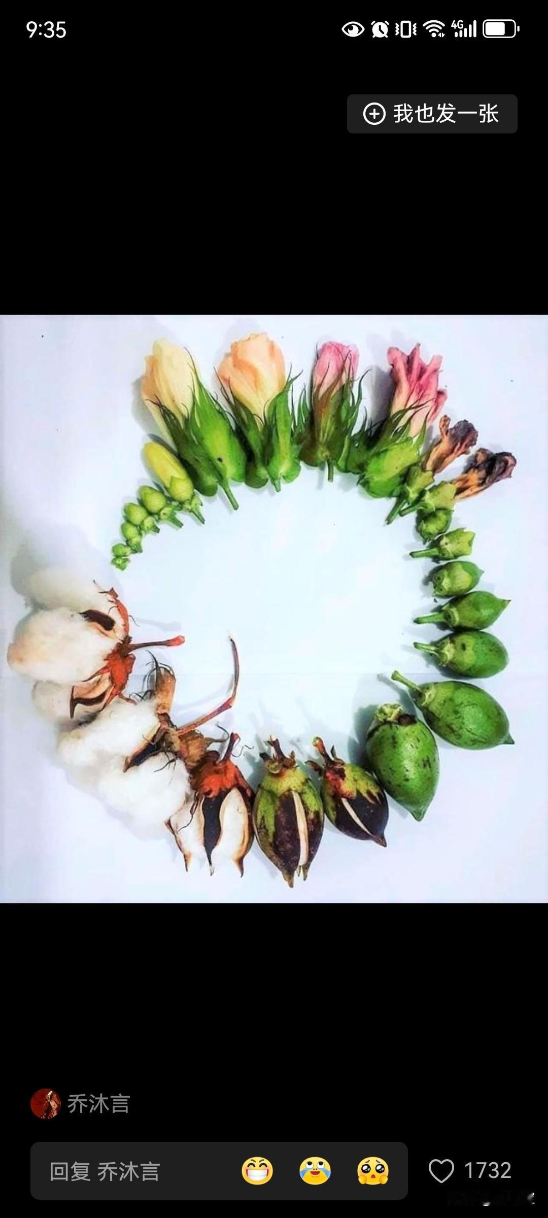 已经给大家试过了，两个儿子的家庭放心嫁哈！根本没有什么糟心事，婆婆就生了两