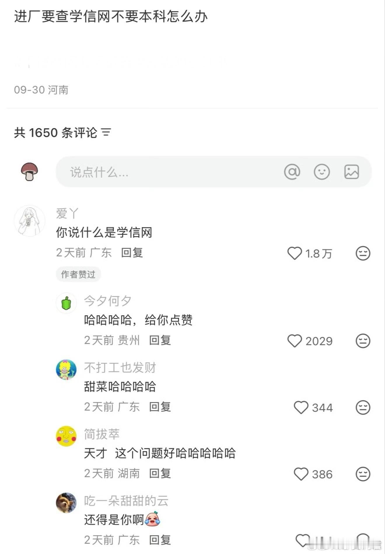 进厂要查学信网不要本科怎么办​​​