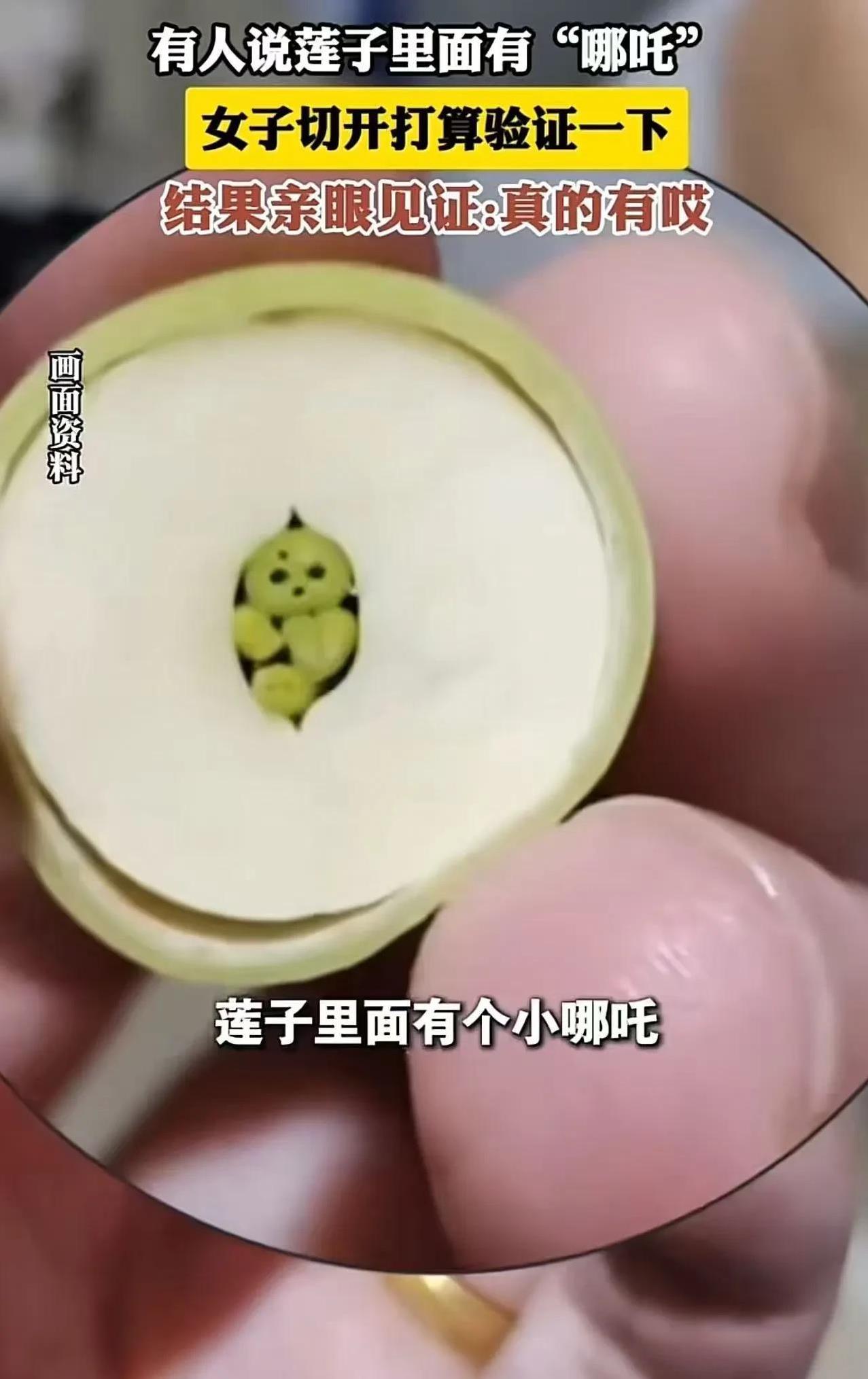 “想要打脸别人反被打脸！”女子看到有人说莲子里面有“哪吒”，压根不信，打算自己切
