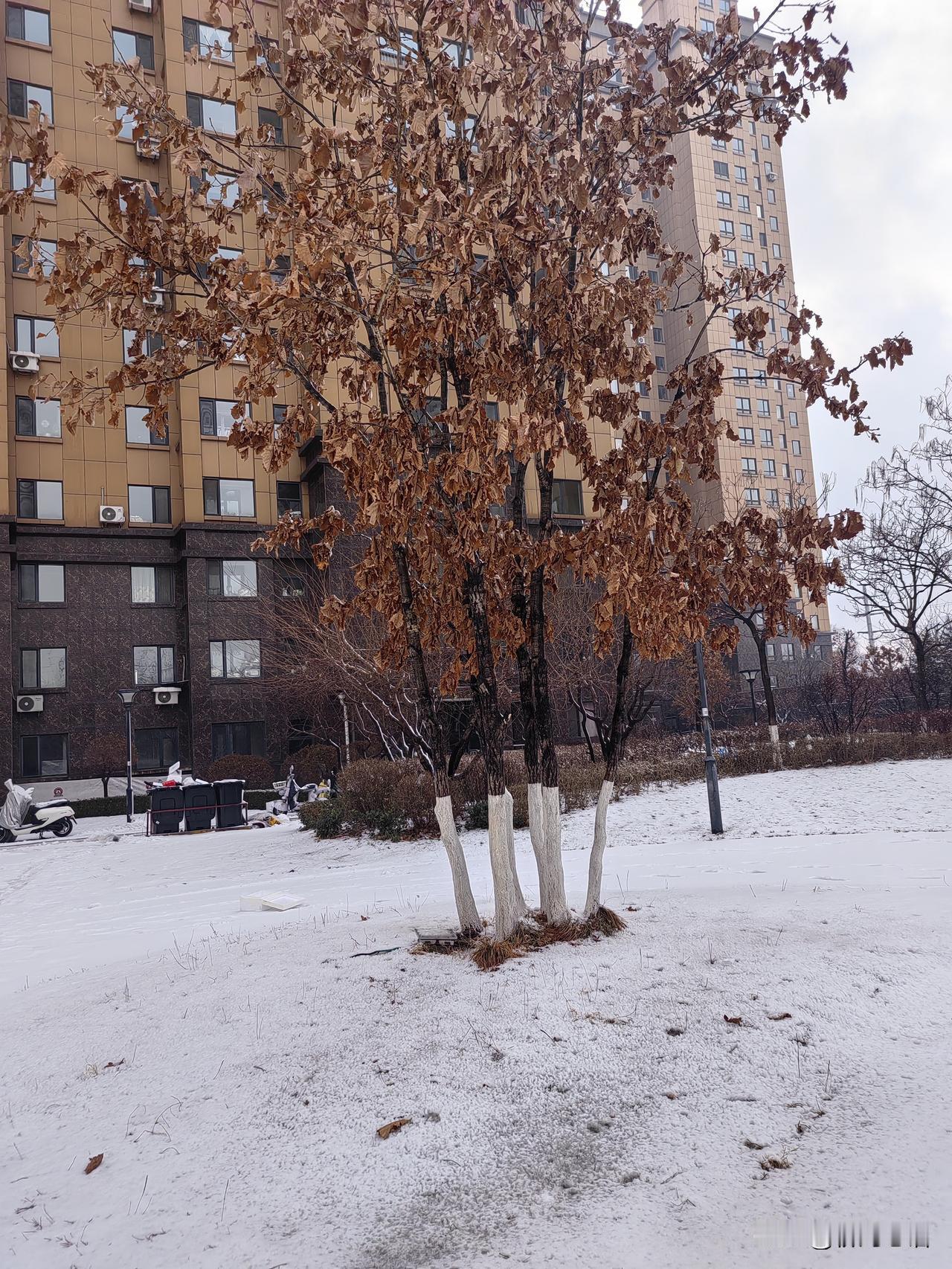 “你那么高的退休金都存不下钱，让我们这些开3000多的咋活？”公交车上听到几