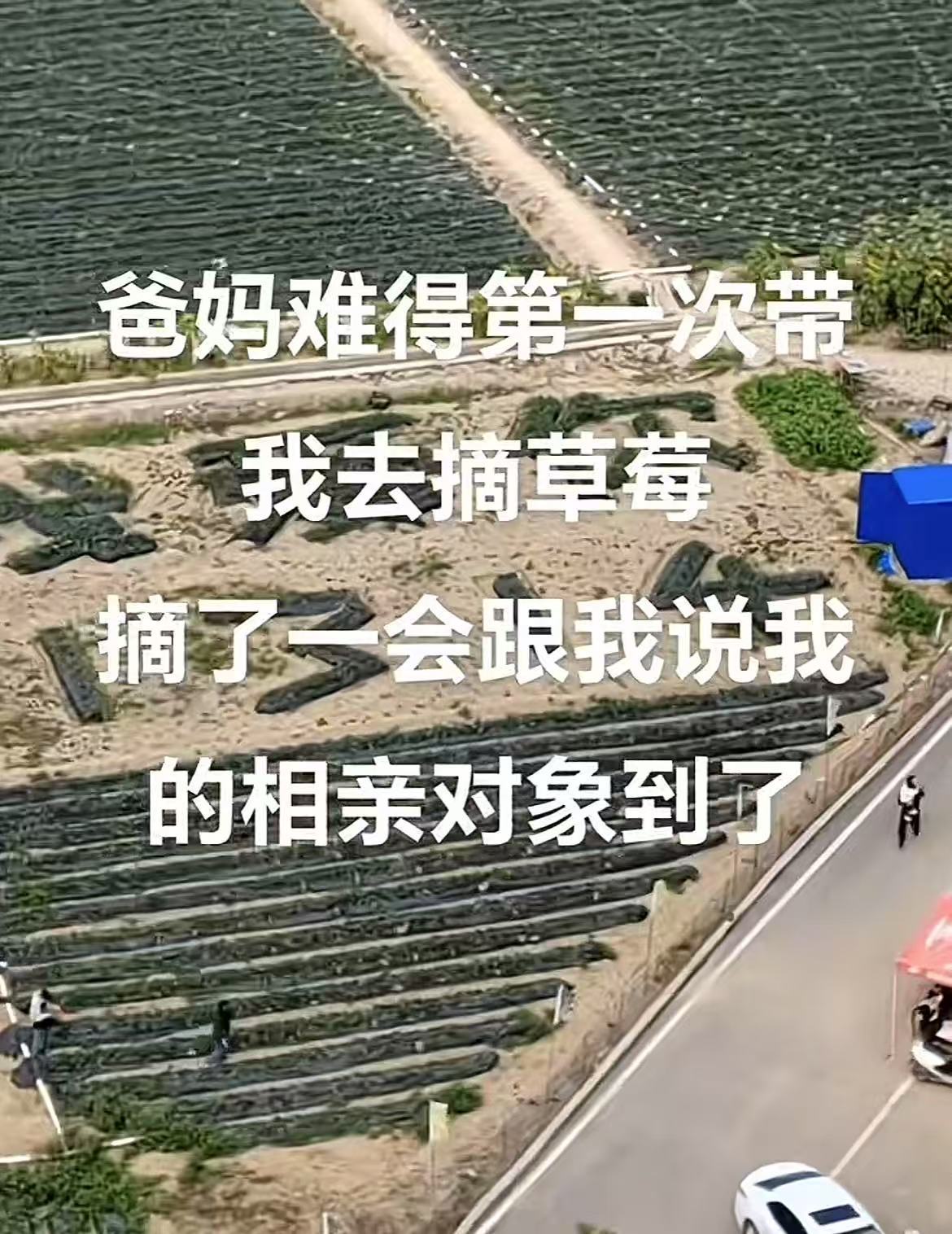 爸妈:你的草莓王子来了喔🤣👌