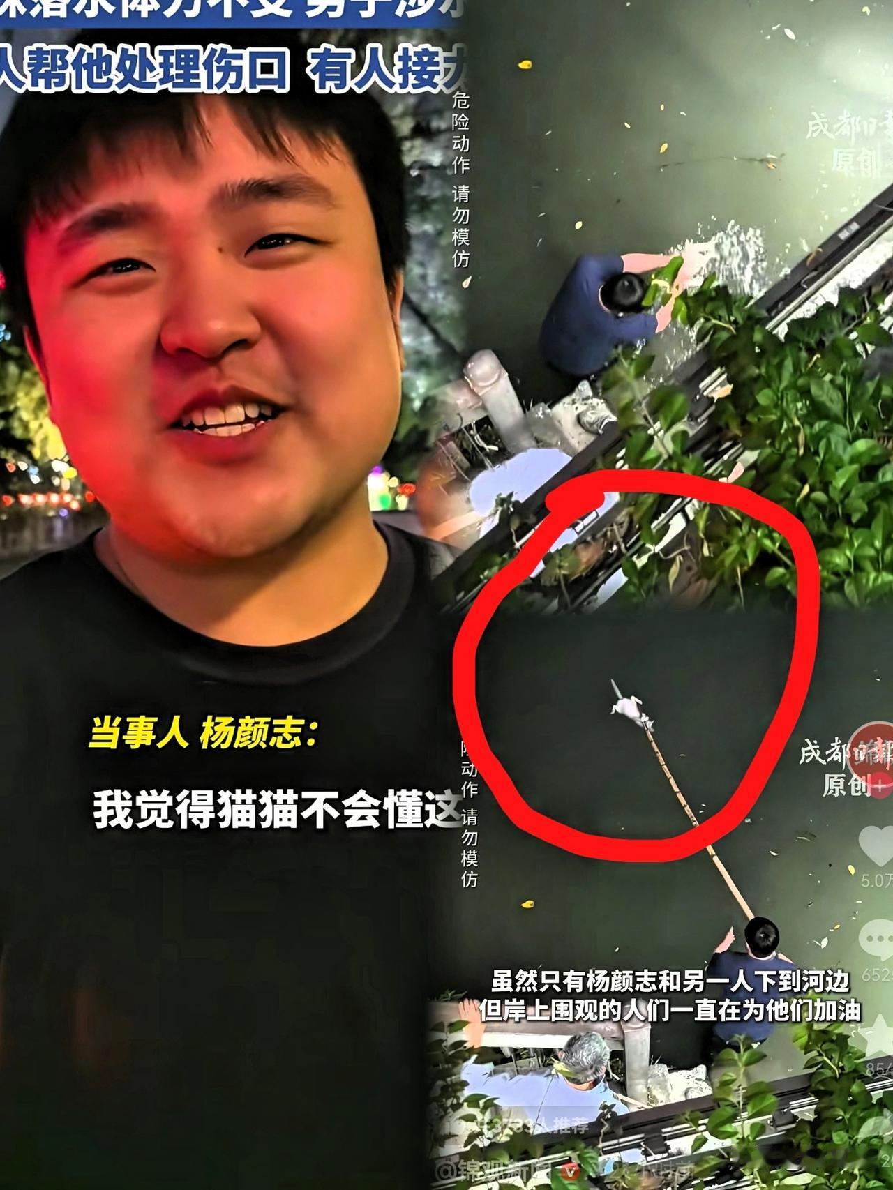 破防了！“猫猫不会懂这些，它紧张害怕，咬人是猫猫的本能，谁懂这句话的含金量？