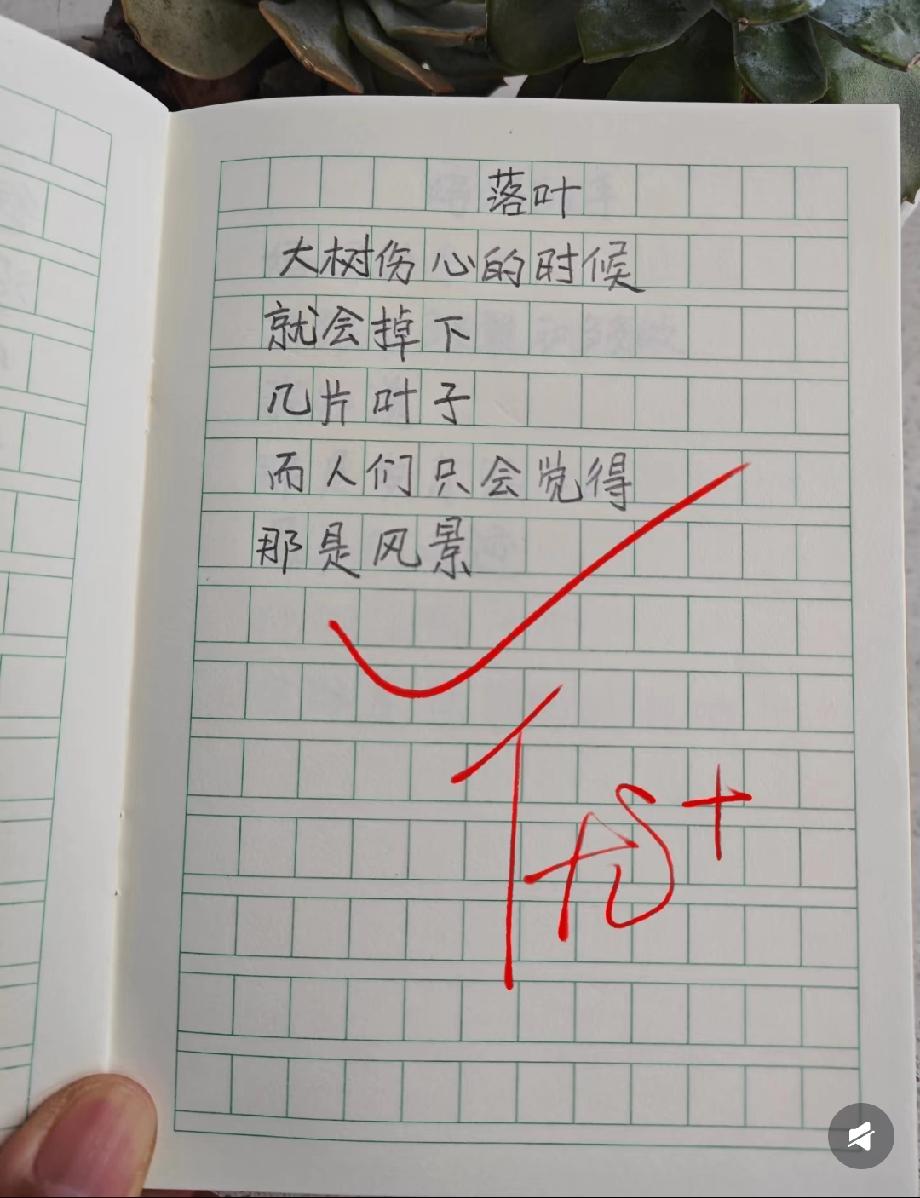 绝了！小学生作文《落叶》刷屏，短短几句写透人情，网友：小哲学家