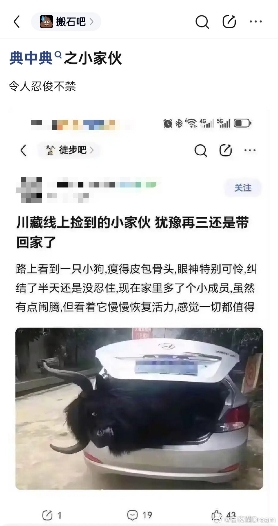 捡到的小家伙