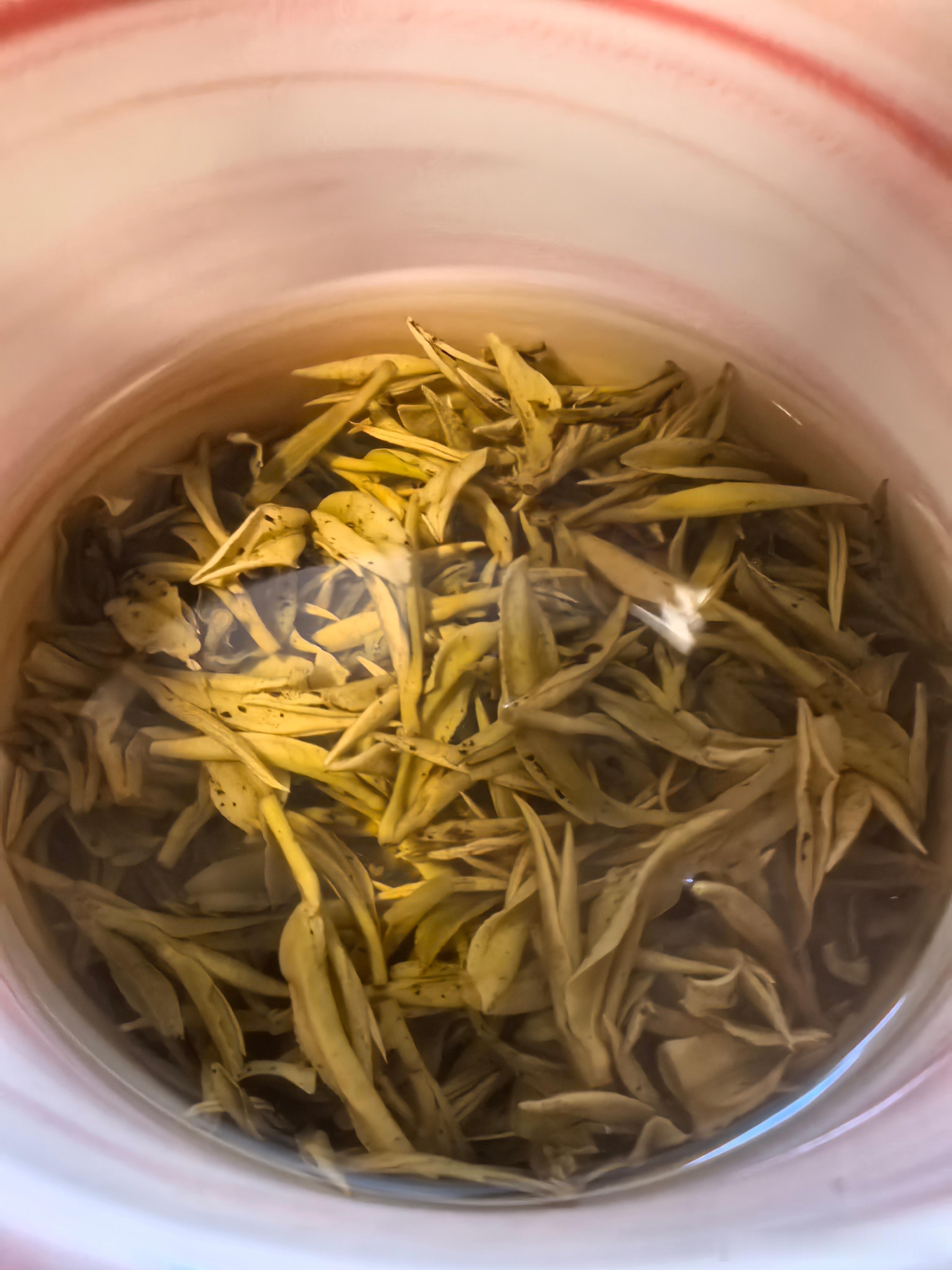 一个在上课，两个在另一个房间吵数学题，我在喝茶。