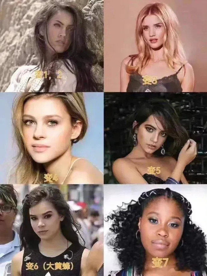 变形金刚女主进化史！