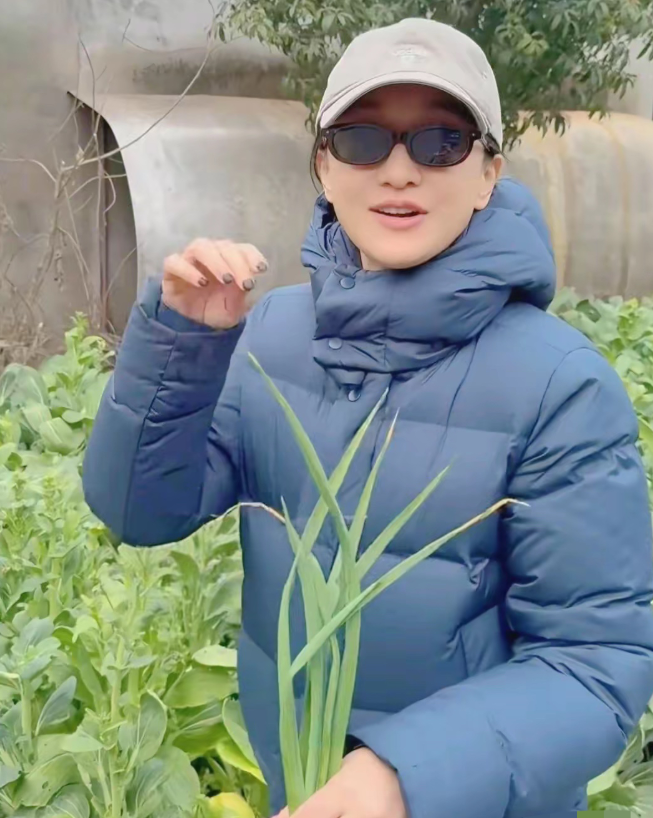 周迅也回农村老家了，下田拔菜不怕弄脏美甲，一点也不矫情……最让人心安的，还是