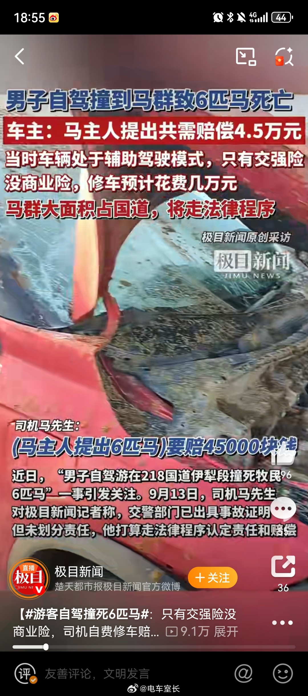游客自驾撞死6匹马今天刚从G217跑过来，实话说，路上不守规矩和不注意安全的司机