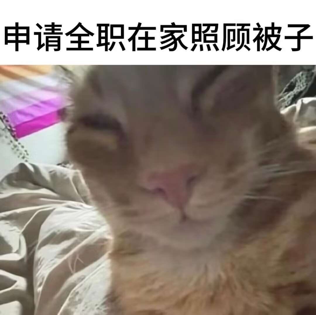 可以吗