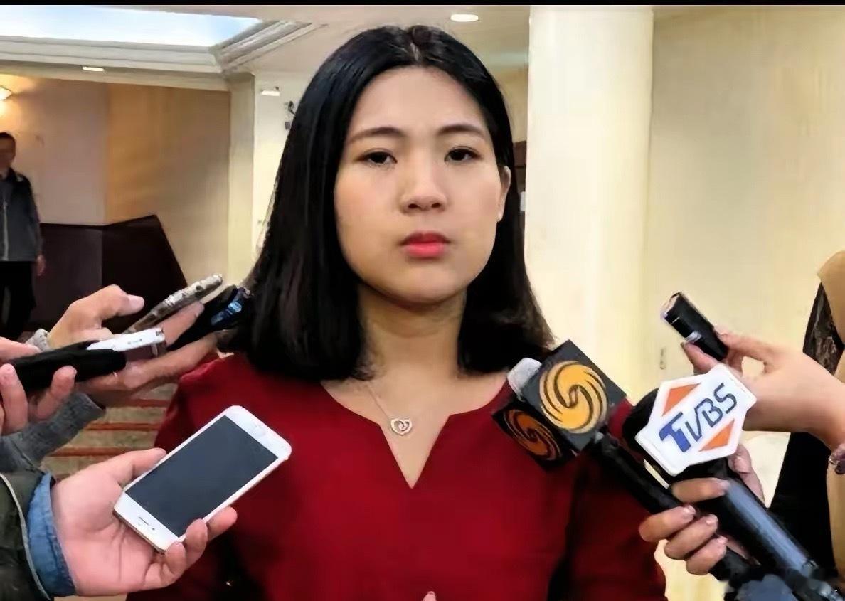 徐巧芯说得挺在理，吴石为了理想和中共合作，压根不是叛变，就是特殊时期的权宜之策。