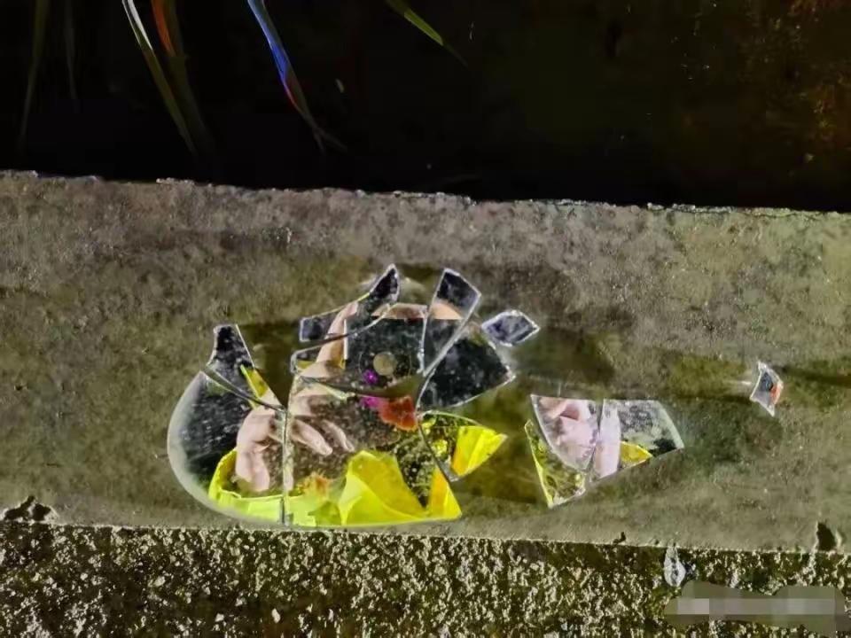 深夜的饭店门口，一场突如其来的车祸打破了山村的宁静。一名男子倒在路边，口鼻溢血，