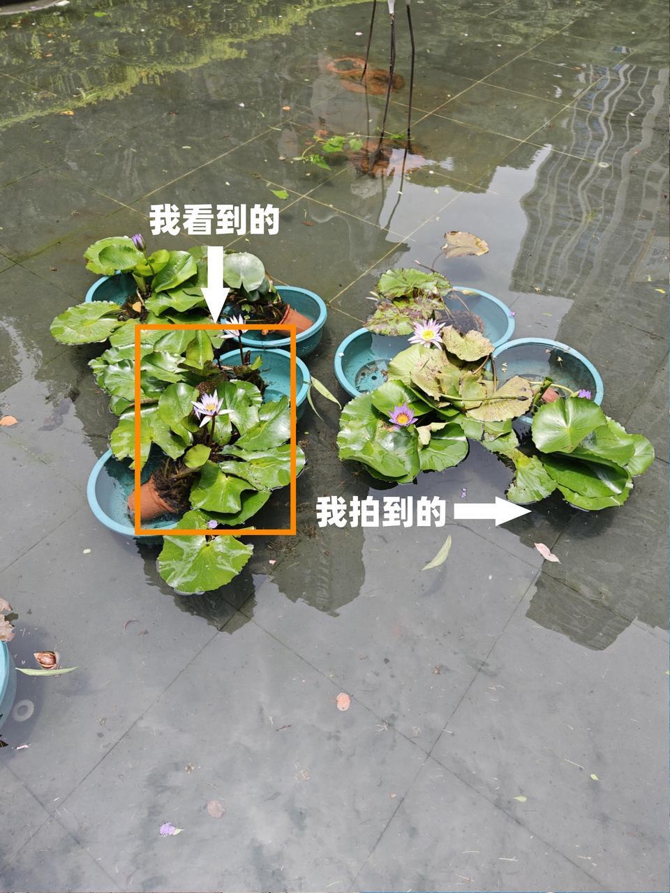 所谓的“摄影眼”，其实就是构图的意识长焦可以压缩空间，让画面更感觉和有冲击力
