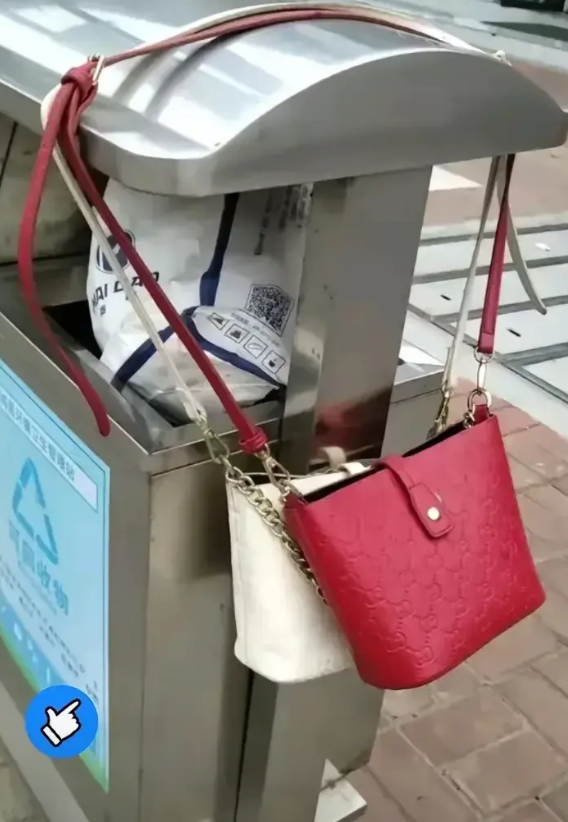 黑龙江，有一位阿姨出门去买菜，看到路边的垃圾箱里，挂着两个包包，有一个包呈雪白