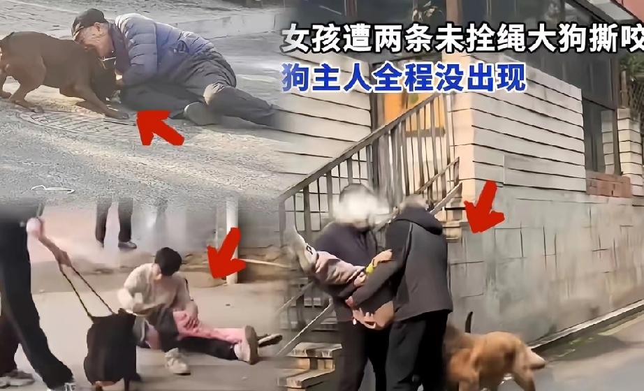 看了北京那个毒狗案的判决，说实话，我挺不能理解的。投毒肯定犯法，这人被抓被判，纯