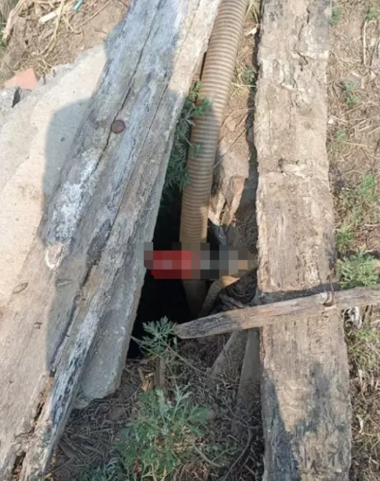 河南南阳一村多位村民发现，用井水灌溉后庄稼离奇发黄枯死，怀疑水质出问题，相关机构