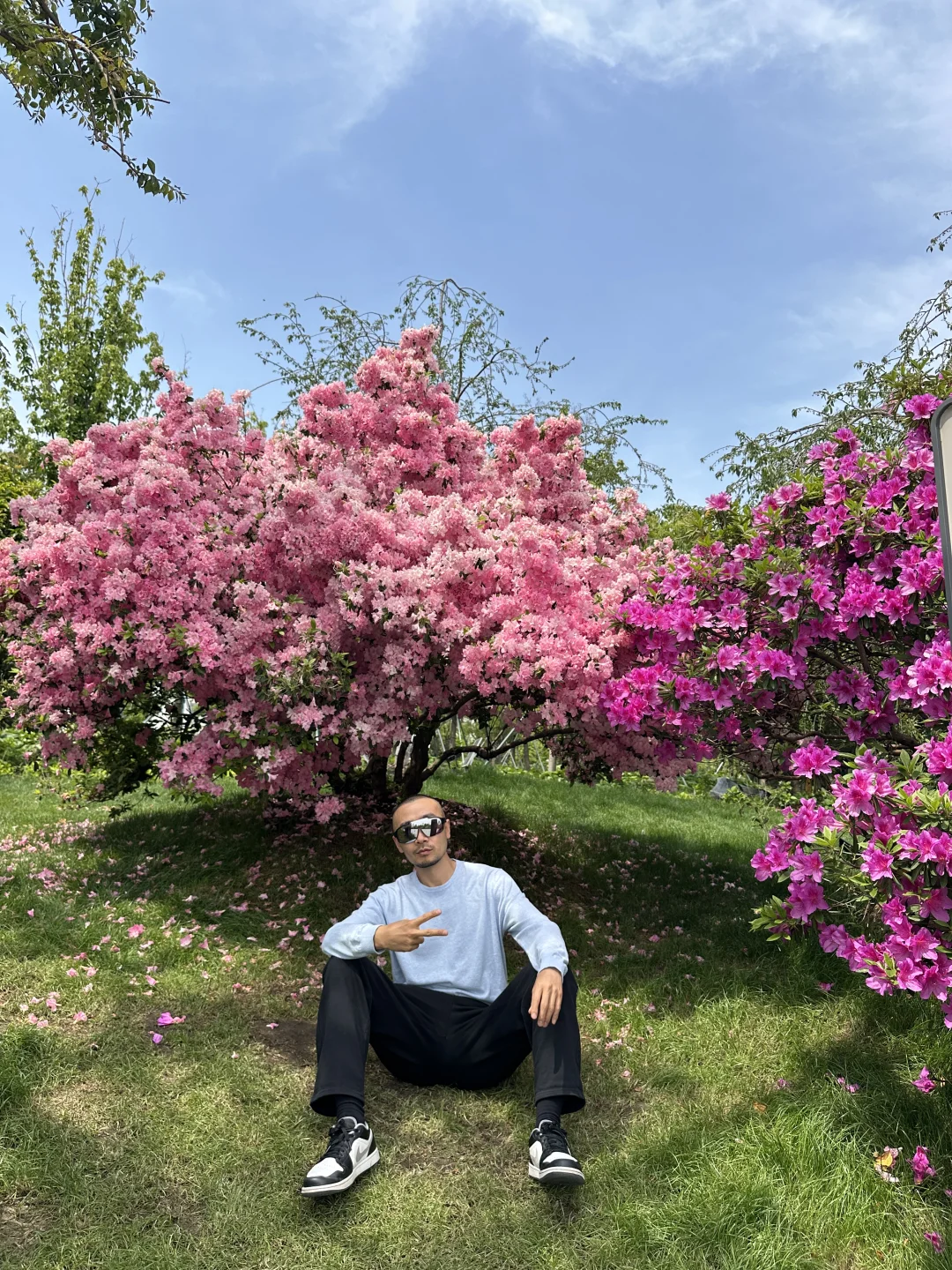 这比百里杜鹃香多了