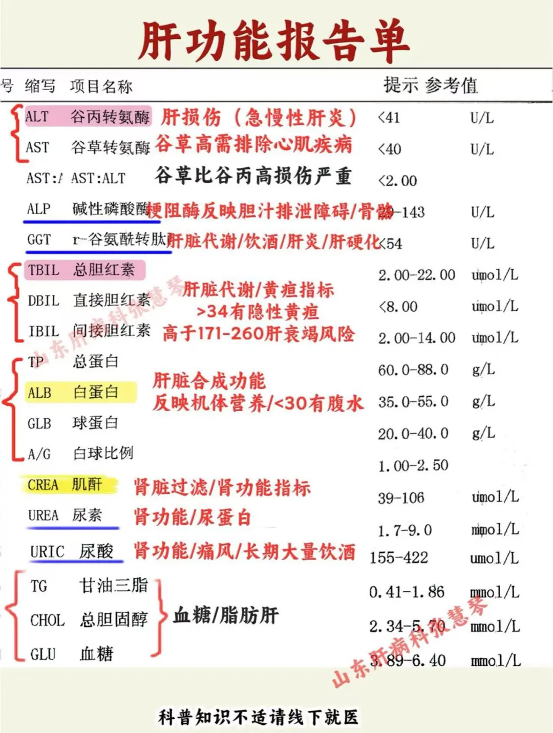 肝好不好，肝功能这么看一看便知！ ﻿乙肝﻿ ﻿肝硬化﻿ ﻿山东﻿ ﻿肝...