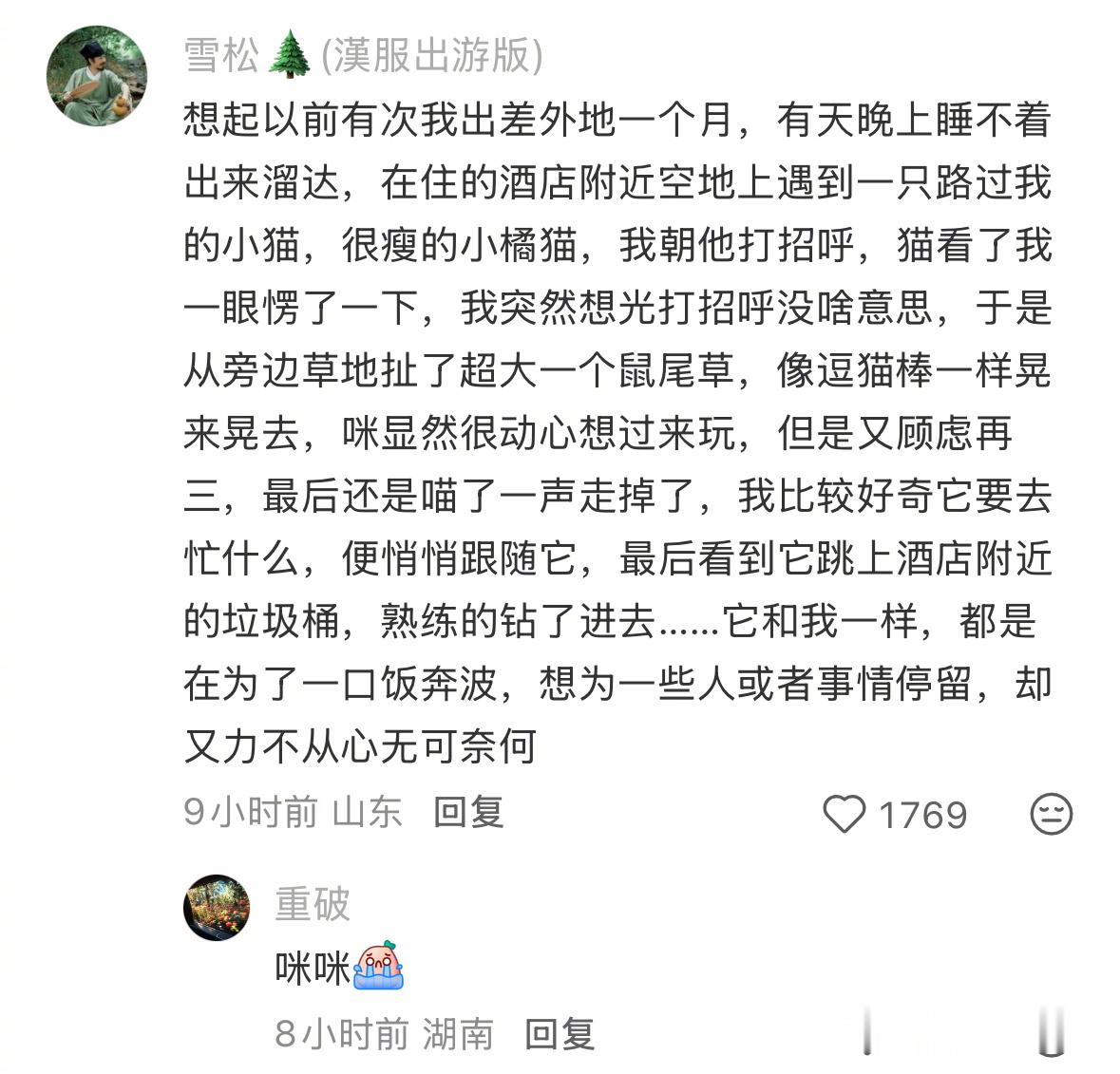猫每天在忙啥啊​​​