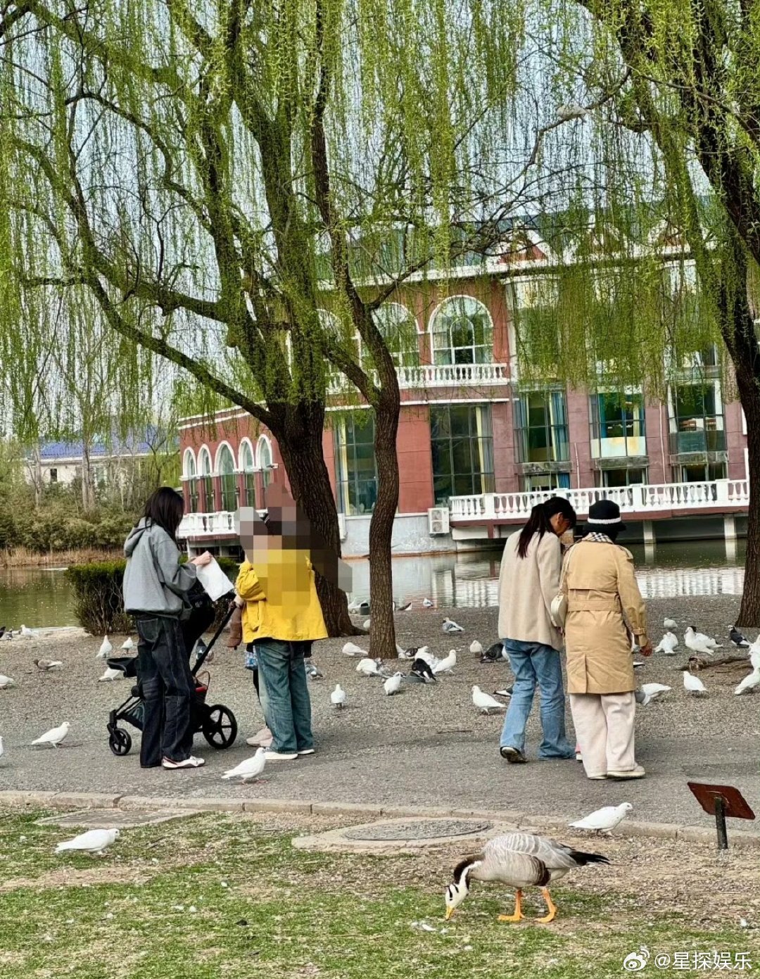 偶遇何穗公园遛娃刷到何穗遛娃的图，突然有点羡慕这种松弛感。一边是产后40天就登