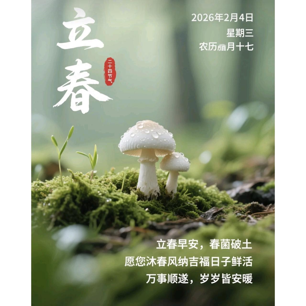 2026年的立春时间可有说道了！老祖宗传下来的农谚“白天立春脱棉袄，夜晚立春三