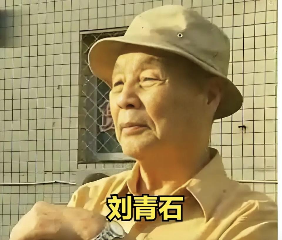 刘青石这一生，太让人揪心了！为救蔡孝乾九死一生，换来的却是对方叛变，自己躲公墓四