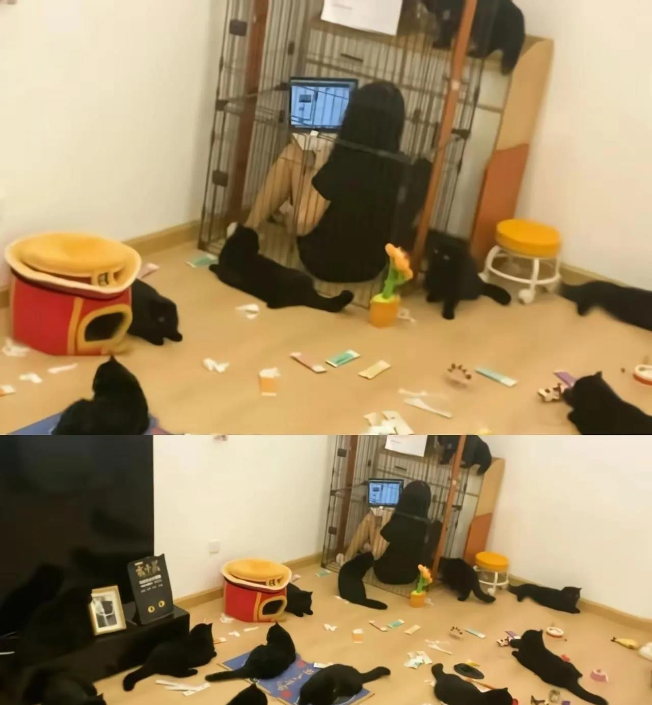 为了不被打扰，主人已闭关