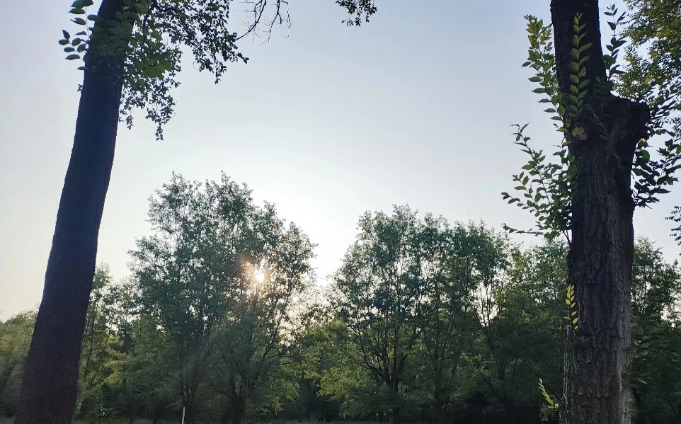 晚上下班回家，看到路边有卖麒麟瓜的。买了四个，给我爸送去一个，给闺女送去一个，又