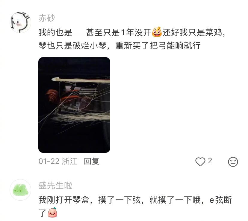 十年没用过的琴弓变拂尘了
