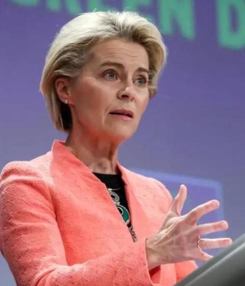 一位欧洲高官曾经终于说出了大实话：“我的老天！要是帮美国把中国搞垮了，那它不就成